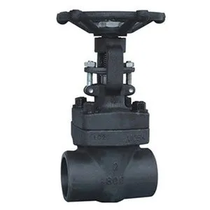 forged gate valve Manufacturer in Ahmedabad